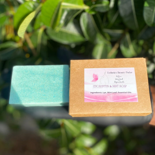 Eucalyptus and Mint Soap